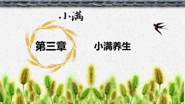 小满节气主题PPT模板9