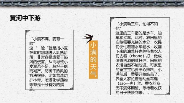 小满节气主题PPT模板1