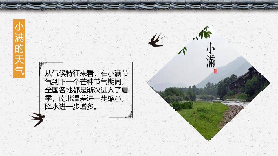 小满节气主题PPT模板2