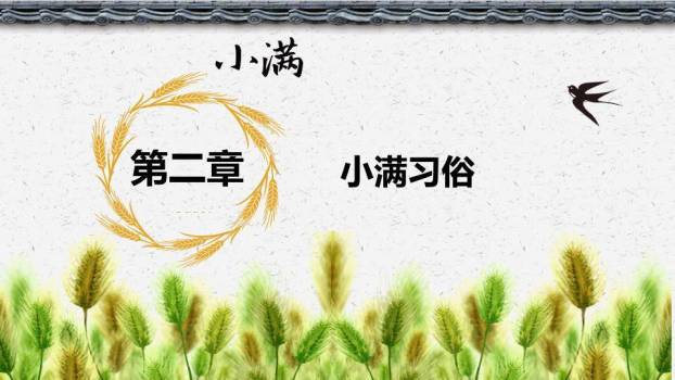 小满节气主题PPT模板3