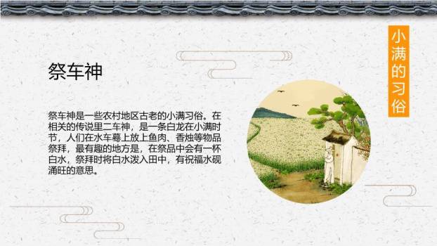 小满节气主题PPT模板5