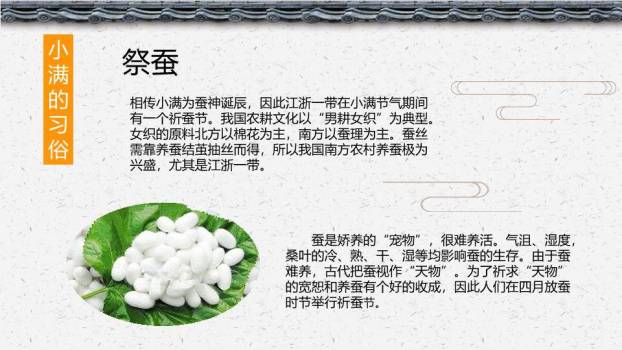 小满节气主题PPT模板6