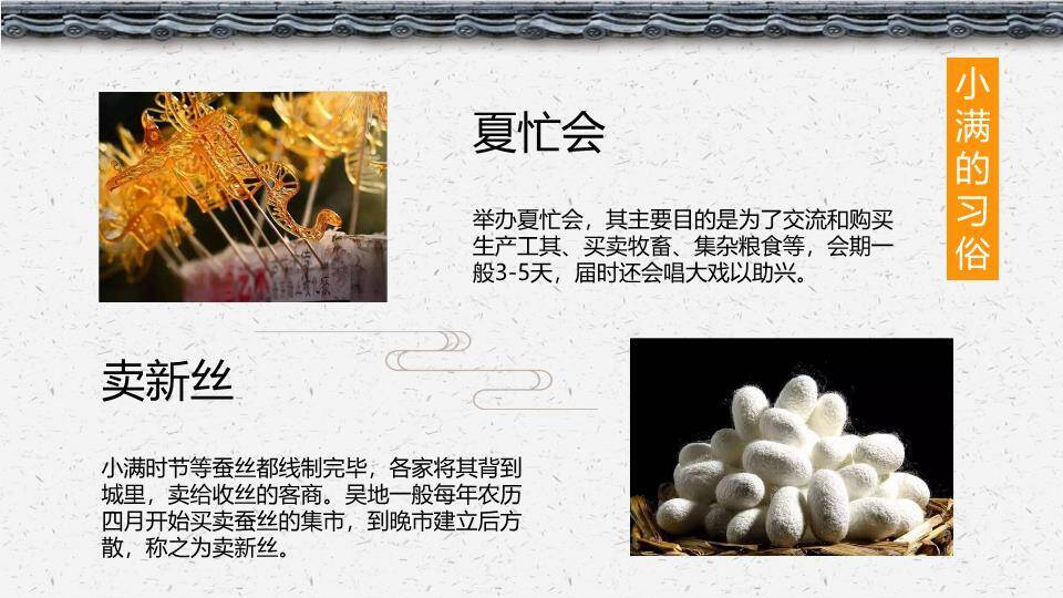 小满节气主题PPT模板7