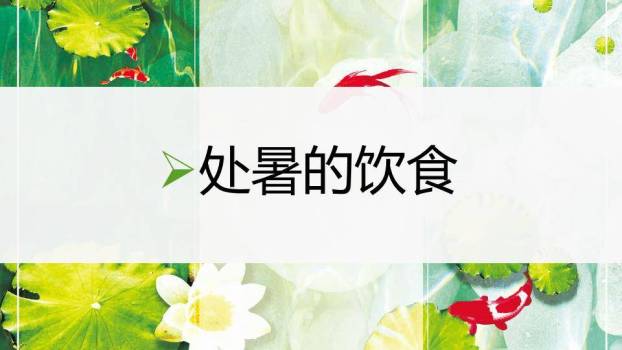 处暑节气PPT模板9