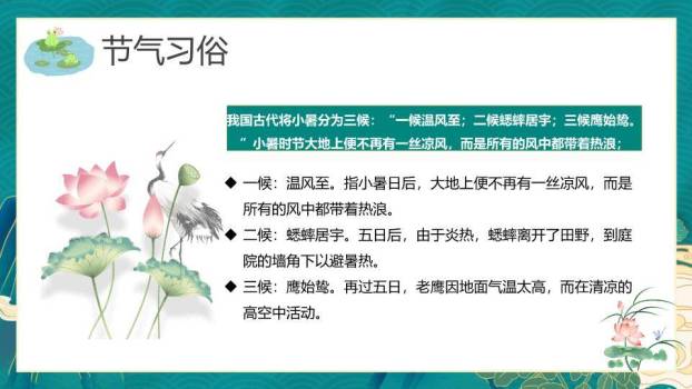 小暑传统文化PPT模板2
