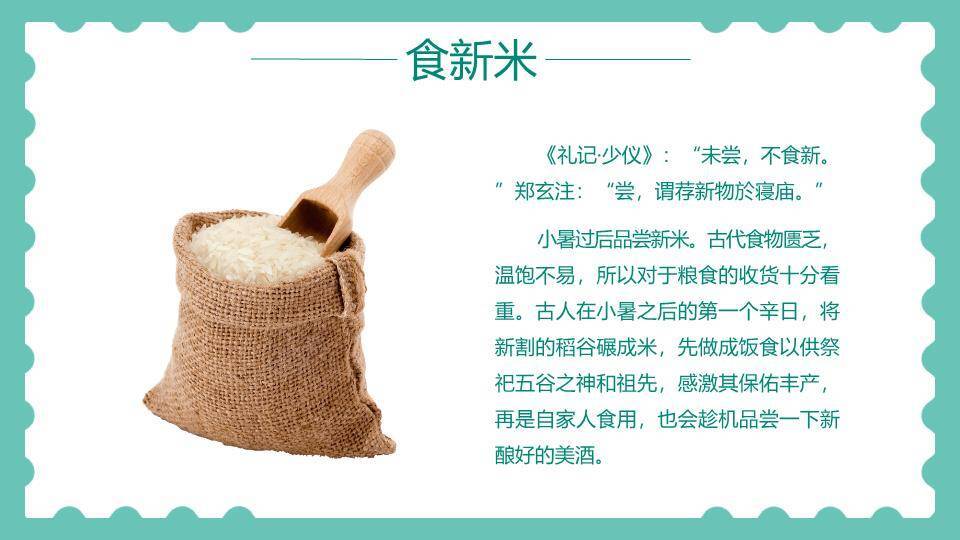 小暑插画风PPT模板3