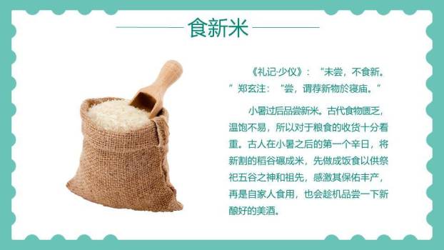 小暑插画风PPT模板3