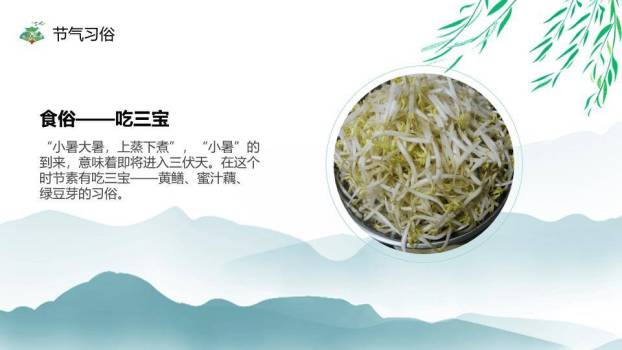 小暑简约风PPT模板2