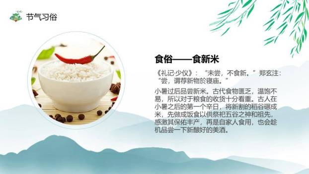 小暑简约风PPT模板3