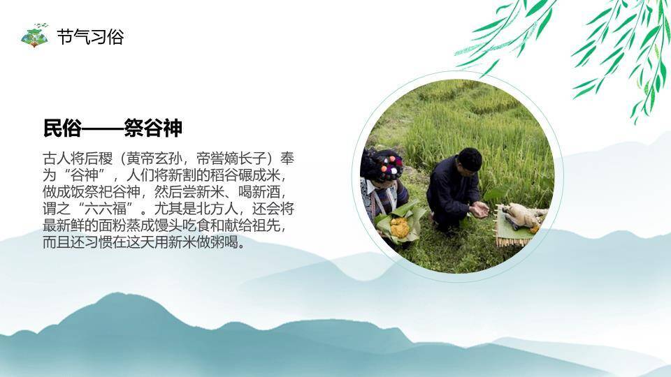 小暑简约风PPT模板4