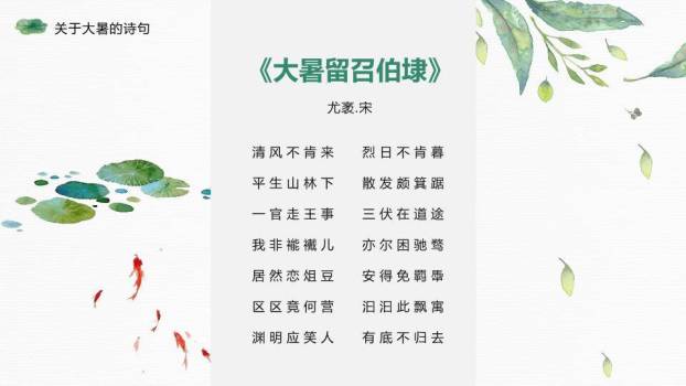 大暑节气荷风送爽PPT模板8