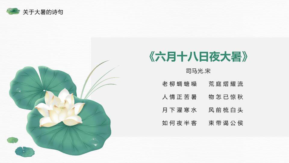 大暑节气荷风送爽PPT模板9