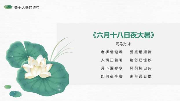 大暑节气荷风送爽PPT模板9