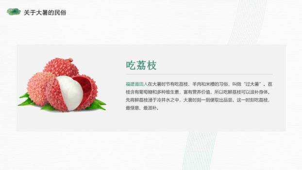 大暑节气荷风送爽PPT模板2