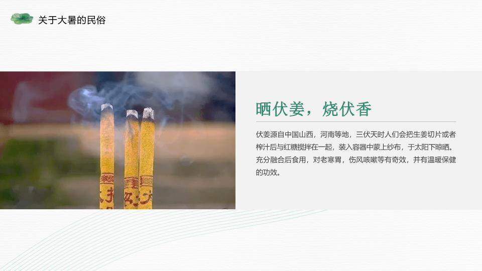 大暑节气荷风送爽PPT模板4