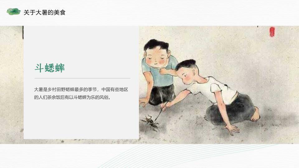 大暑节气荷风送爽PPT模板5