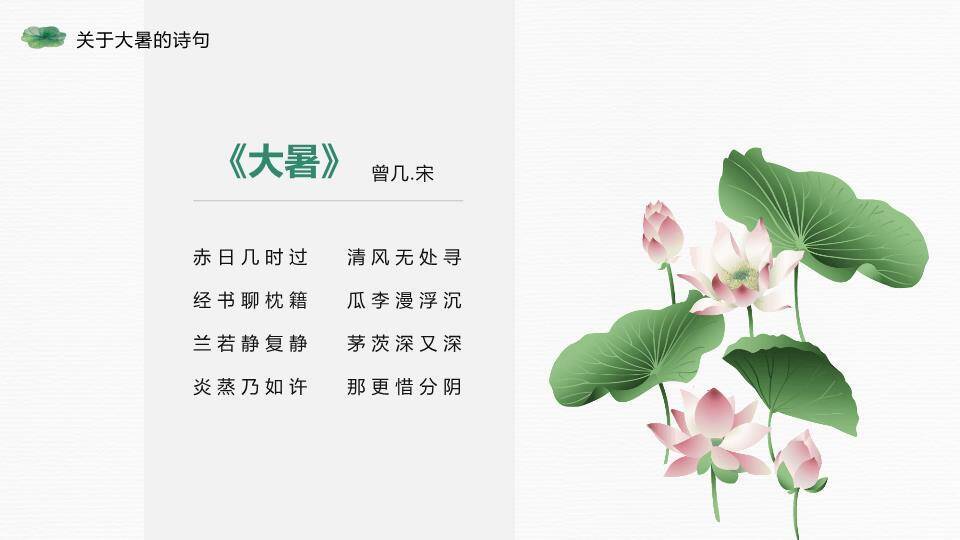 大暑节气荷风送爽PPT模板7