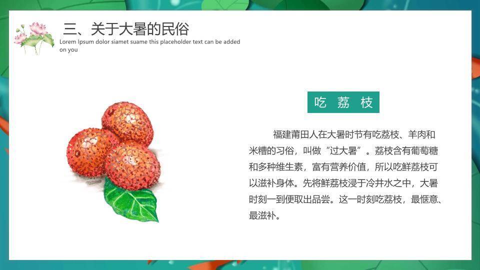 大暑节气夏日清凉PPT模板5