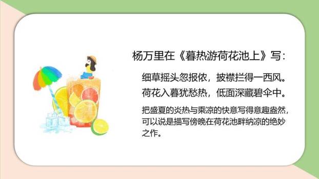 小暑节气荷花初绽PPT模板9