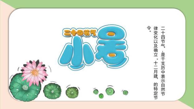 小暑节气荷花初绽PPT模板0