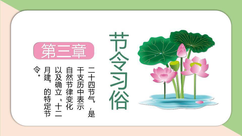 小暑节气荷花初绽PPT模板2