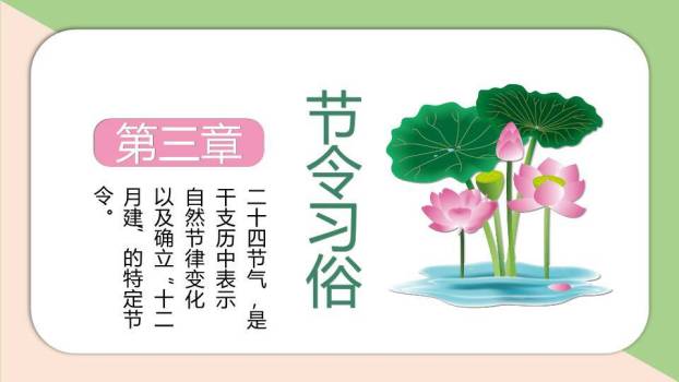 小暑节气荷花初绽PPT模板2