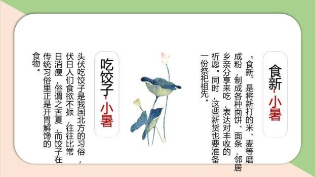 小暑节气荷花初绽PPT模板3