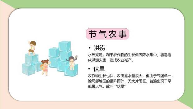 小暑节气荷花初绽PPT模板5