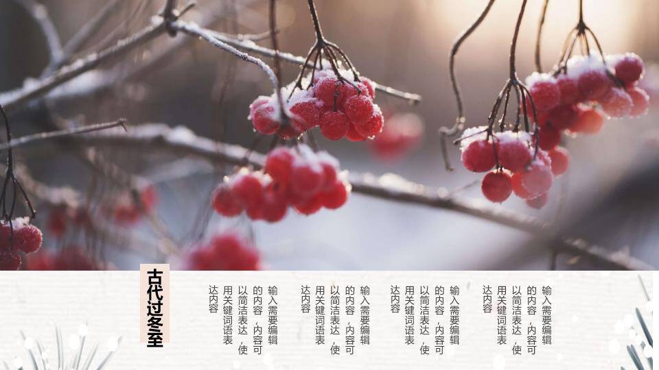 冬至传统美食习俗PPT模板8