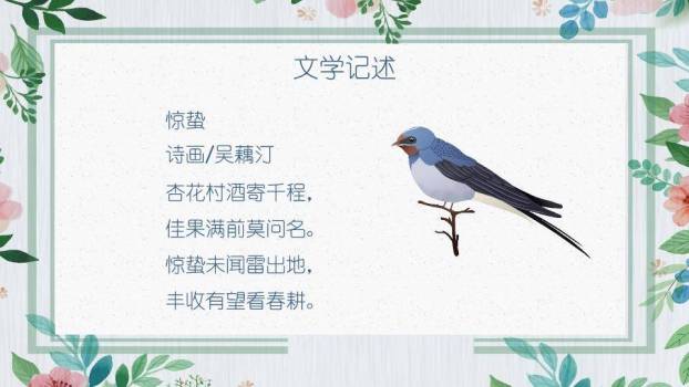 惊蛰春雷唤醒大地PPT模板5