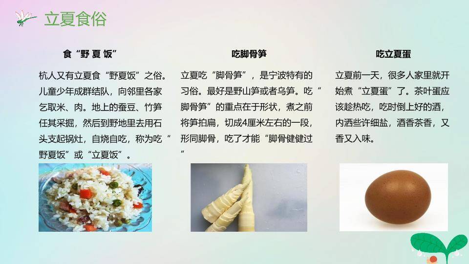 立夏节气万物生长PPT模板1