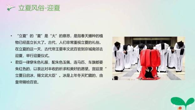 立夏节气万物生长PPT模板2