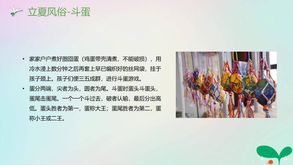 立夏节气万物生长PPT模板4