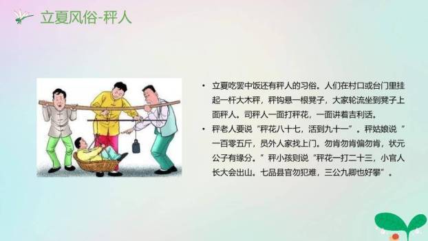 立夏节气万物生长PPT模板5