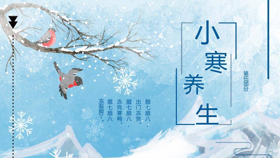 小寒节气冬日物语PPT模板8