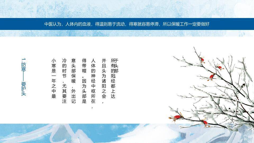 小寒节气冬日物语PPT模板9