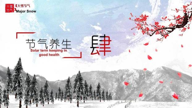 大雪节气夜深听雪PPT模板8