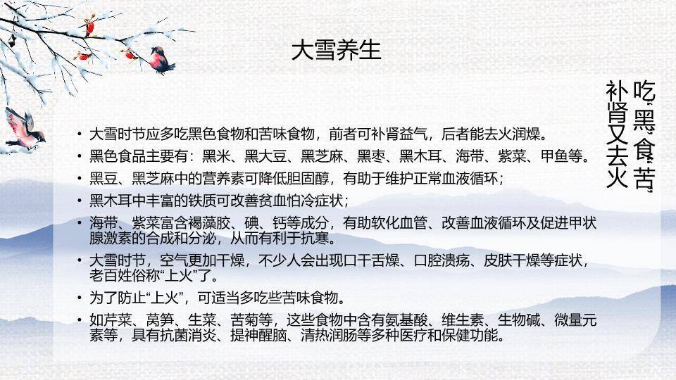 大雪节气自然之美PPT模板9