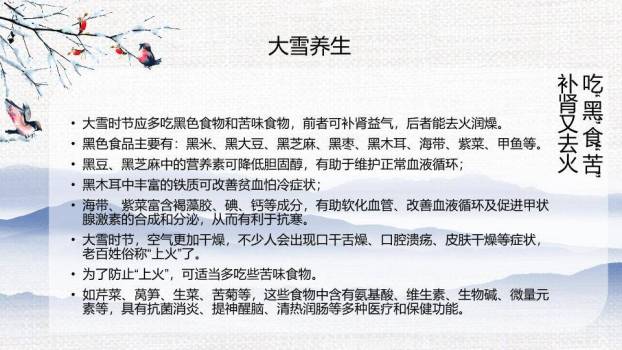 大雪节气自然之美PPT模板9