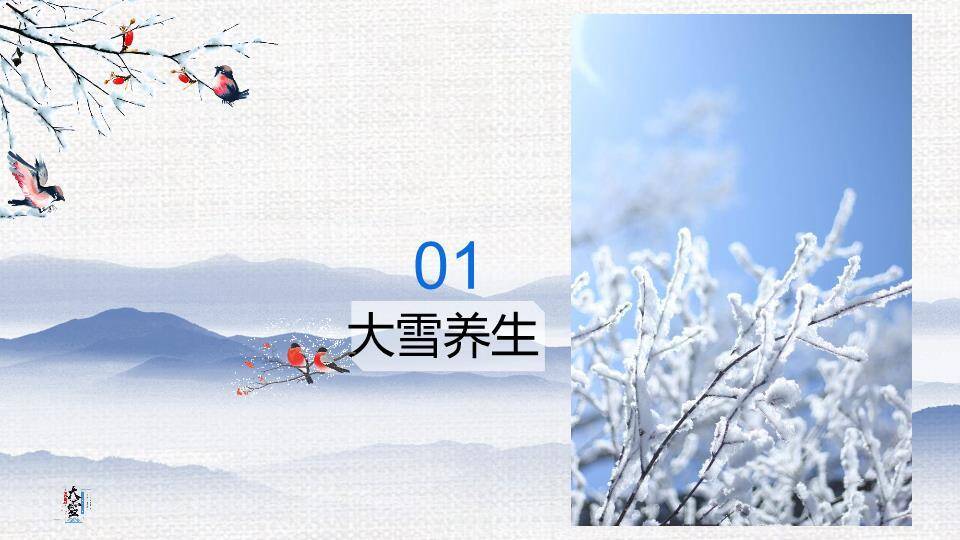 大雪节气自然之美PPT模板6