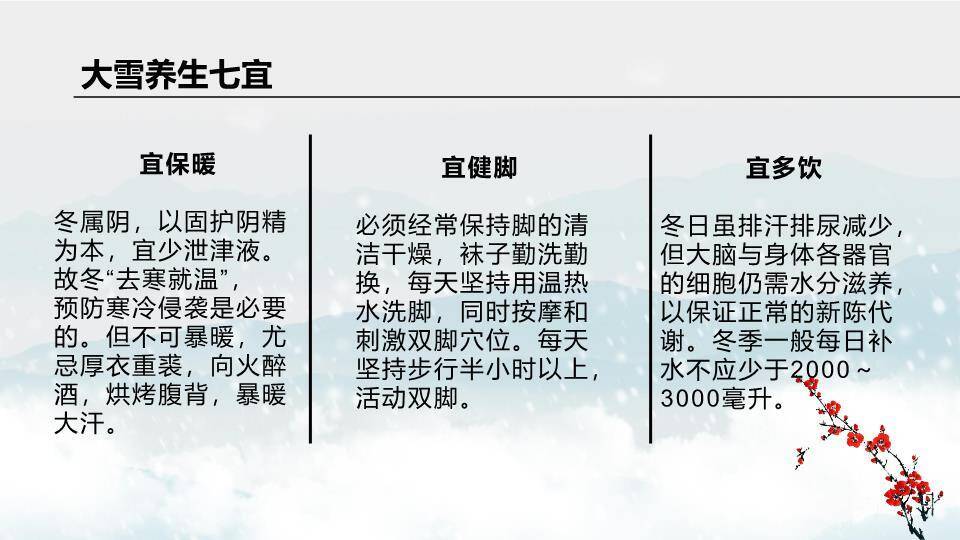 大雪节气红梅映雪PPT模板9