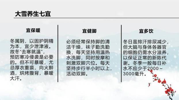 大雪节气红梅映雪PPT模板9