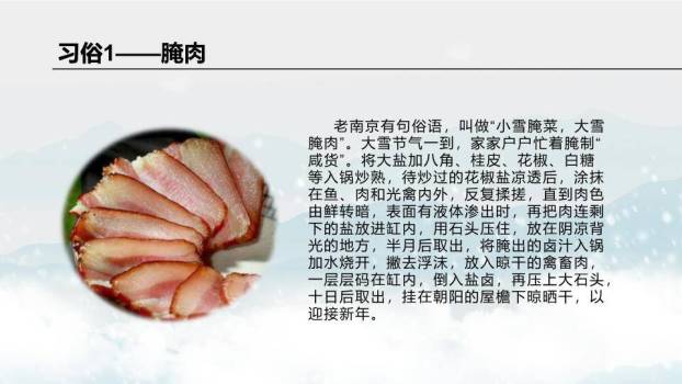 大雪节气红梅映雪PPT模板3