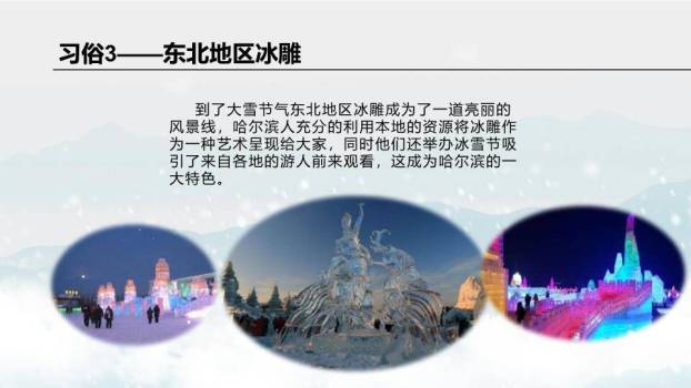 大雪节气红梅映雪PPT模板5