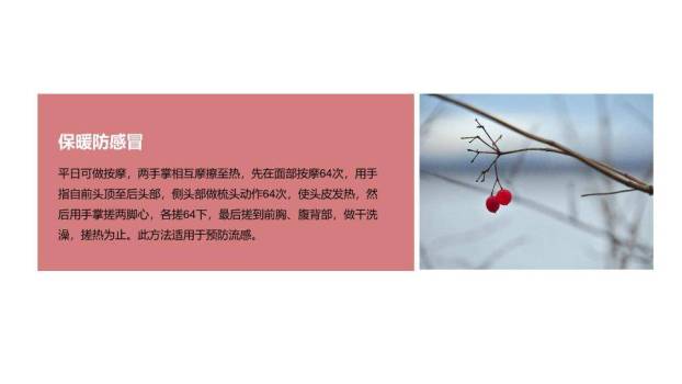 小雪节气寒冬初至PPT模板8