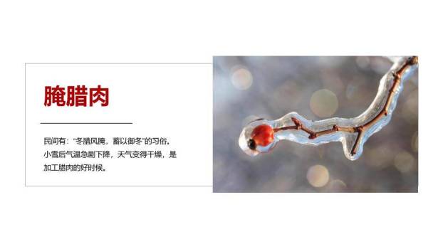 小雪节气寒冬初至PPT模板1