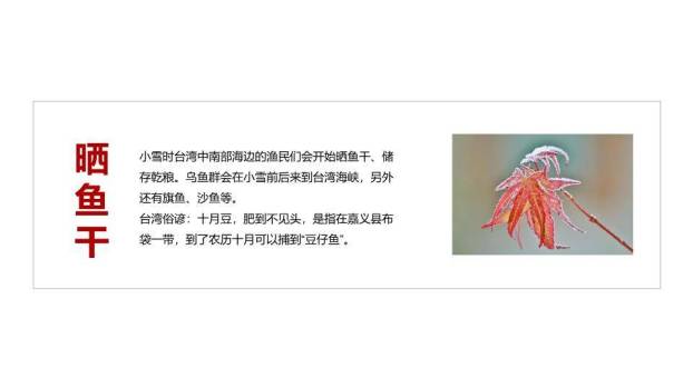 小雪节气寒冬初至PPT模板3