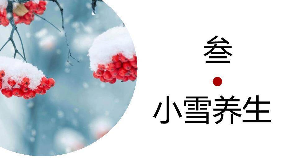 小雪节气寒冬初至PPT模板6