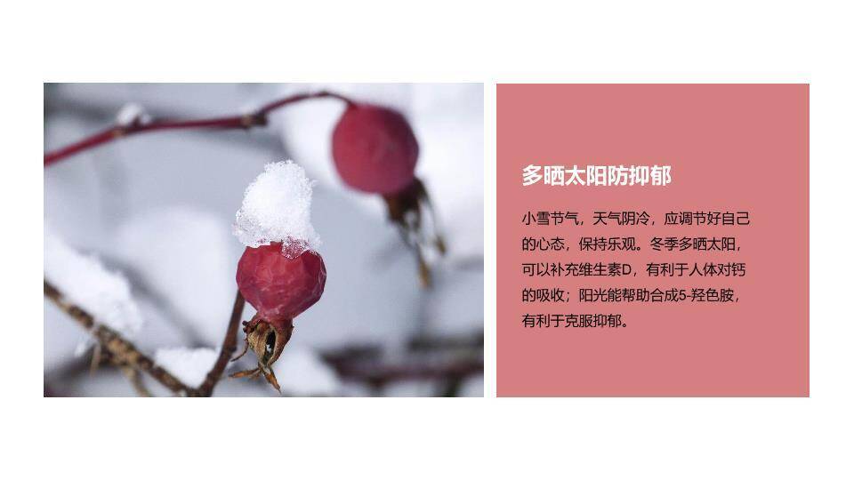 小雪节气寒冬初至PPT模板7