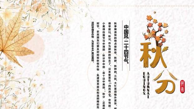 秋分节气丰收时节PPT模板4